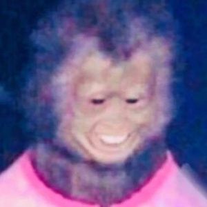 Meet your Posher, Jr.